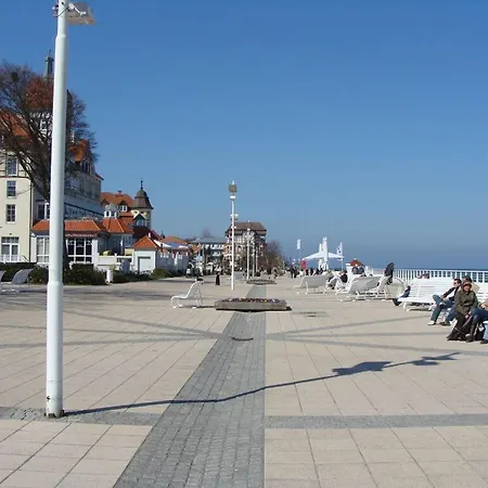 Seestern, 20