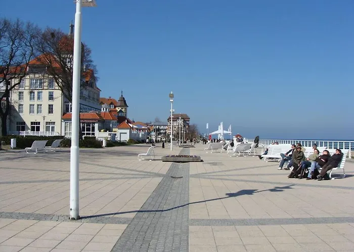 Seestern, 20